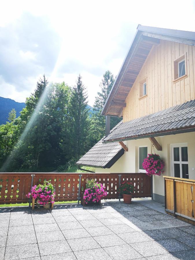 Trisa Apartments Bohinj Exteriér fotografie