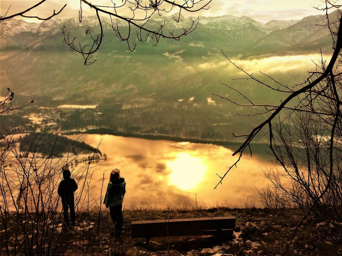 Trisa Apartments Bohinj Exteriér fotografie