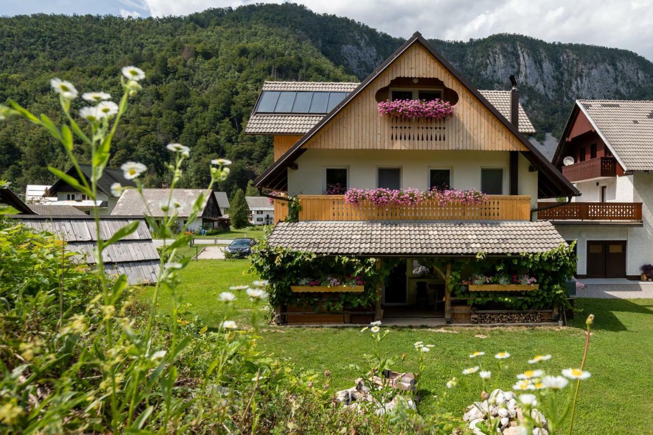 Trisa Apartments Bohinj Exteriér fotografie