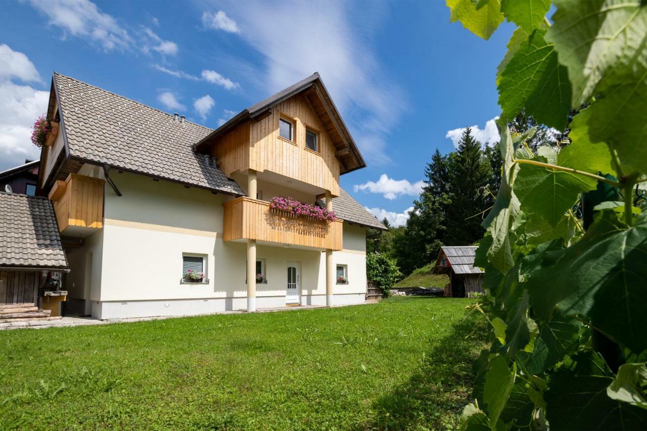 Trisa Apartments Bohinj Exteriér fotografie